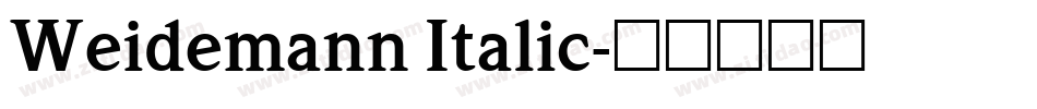 Weidemann Italic字体转换